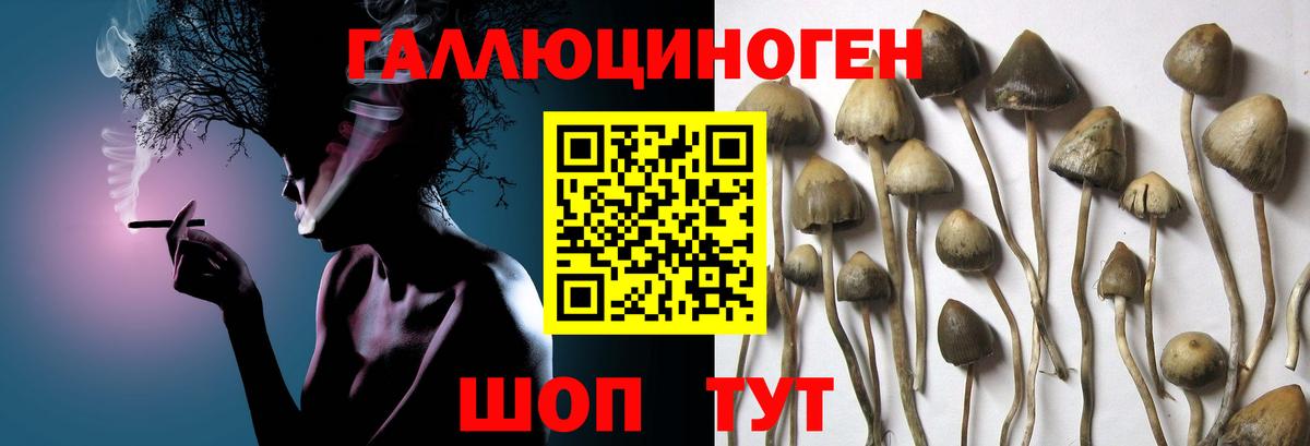 Галлюциногенные грибы Magic Shrooms  Вход с VPN  Артём  Галлюциногенные грибы мицелий 